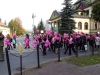 marszrozowejwstazki049