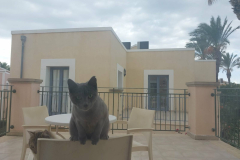 40904fc5-90f7-4e14-94c1-3ce153f609c0